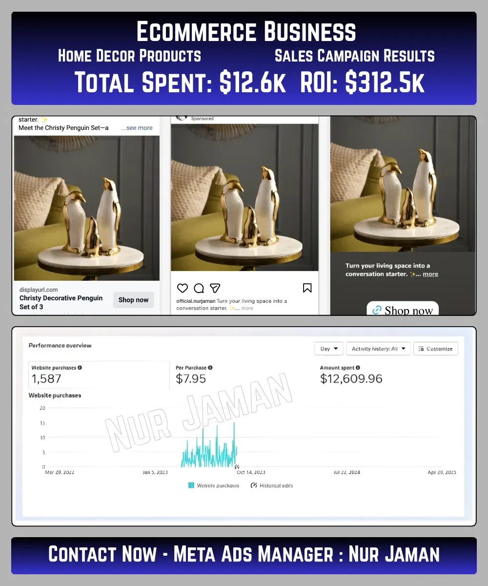 Facebook ads campaign result showing high ROAS for ecommerce store Facebook ads campaign result managed by Nurjaman